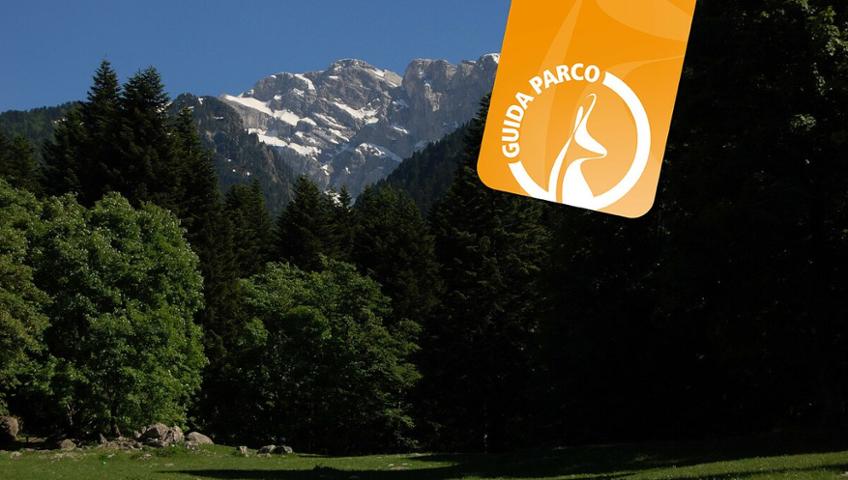 IL GIRO DEL MARGUAREIS